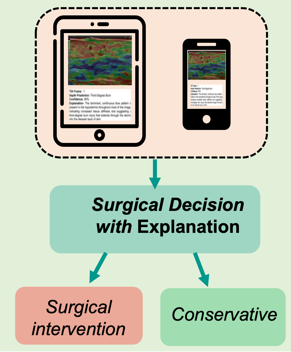 AURA framework for multimodal burn assessment